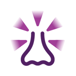 purple icon of nose sinus congestion